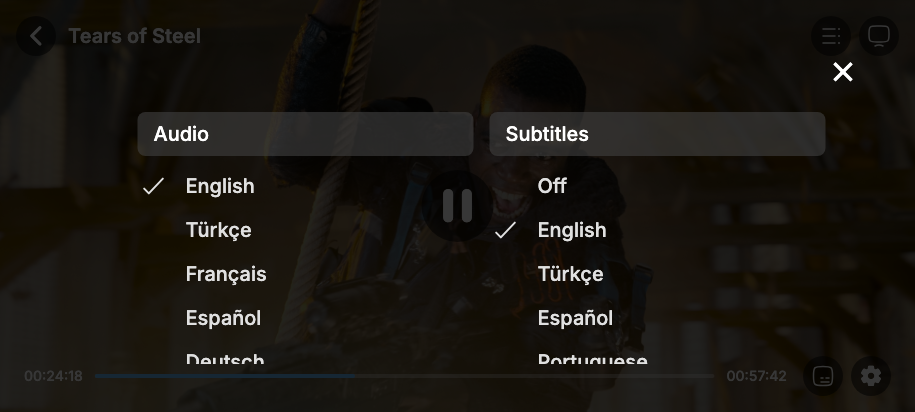 Video player with audio and subtitle track picker