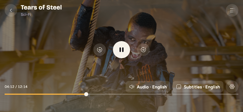 Video player with audio and subtitle track picker